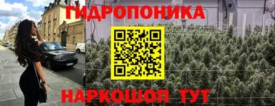 стаф Краснокаменск